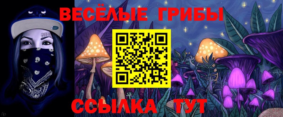Псилоцибиновые грибы GOLDEN TEACHER  Вход с VPN  хочу   Электросталь 